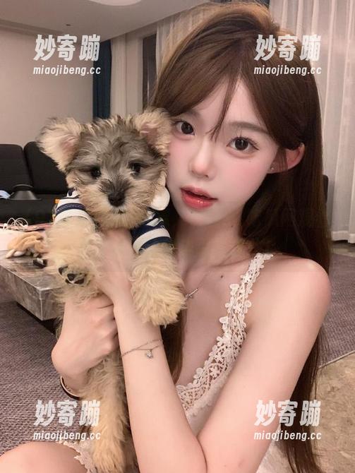 别犹豫，快在91吃瓜网观看吧，保证让你边看边摇头！
